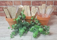 Load image into Gallery viewer, Wooden Garden Stakes Laser It VA

